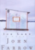 Book cover for "Ice lake".