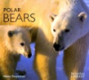 Book cover for "Polar bears".